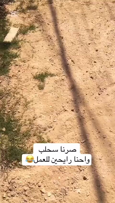 افوراي.    F4i
الاون احمر كفرات
حجم المحرك 600
تخم تاير 
باتري جديد كهرايات شغاله
كير وحرك فول
الدراج تشغيلته نكره 
دسكات الخلفي والمامي جدد
الدراجه مزوده 
حماوه باصيف ماكو حلوه حماوته ‏‪+9647812541040‬‏ تحويل ثاني يوم


**إذا كنت صاحب هذا الإعلان وتريد حذفه لأي سبب، رجاءا أرسل رسالة إلى الدعم الفني**