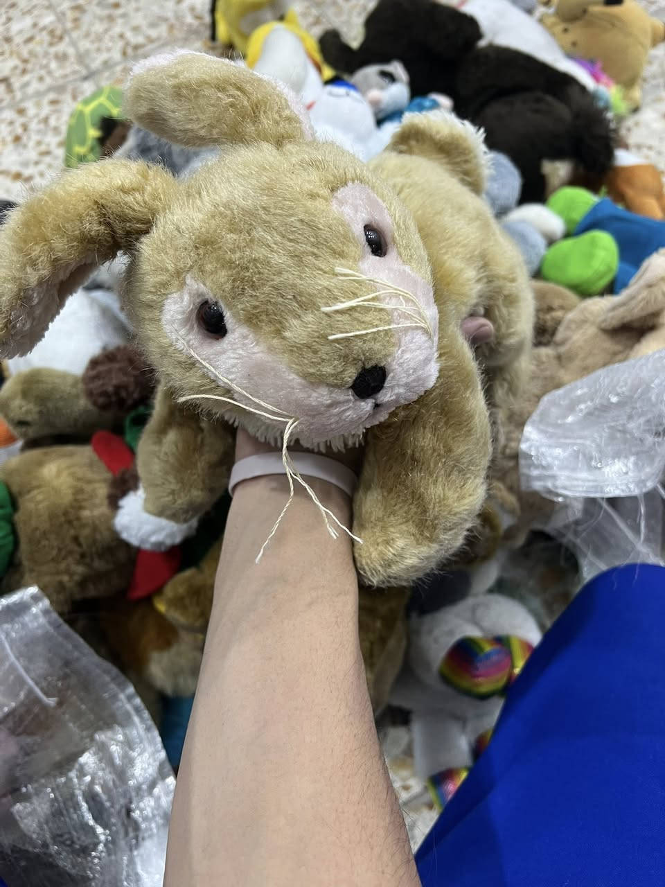 متوفر العاب سوفت باله اوربي كندي 🇨🇦 قطع نظيفه وراقيه احجام خشنه وسط القطعه على الفين و 3 متوفر العاب على الف 

يوجد توصيل 🚚 الى جميع المحافظات 3 الاف فقط 

للحجز واتساب او مواسله الصفحه 

***********
