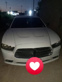 شايجر • ٢٠١٣ • مكفولة