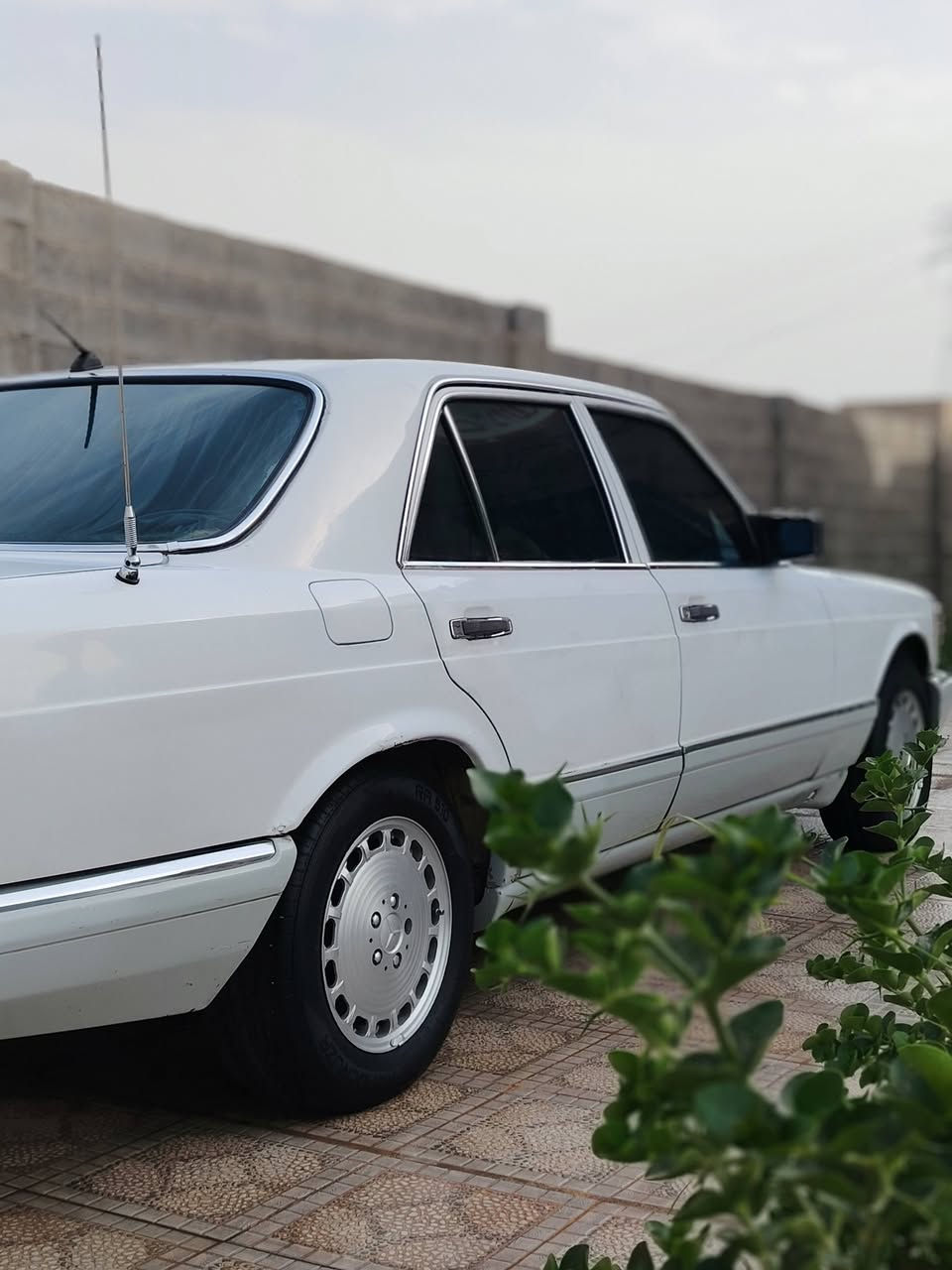 السعر 45 قفل 

مارسيدس رئاسي لون ابيض موديل 1989 بغداد باسمي ثاني يوم احولك سياره كير مكينه بلادي عنكبوت سياره بيها نواقص كمبريسر تبريد وبيها نقص كماليات
السعر قفل 45 مكاني رمادي حصيبه الشرقيه رقم صاحب السيارة *********** اي تفاصيل اتصل وادلل مستعجل على بيعتها
