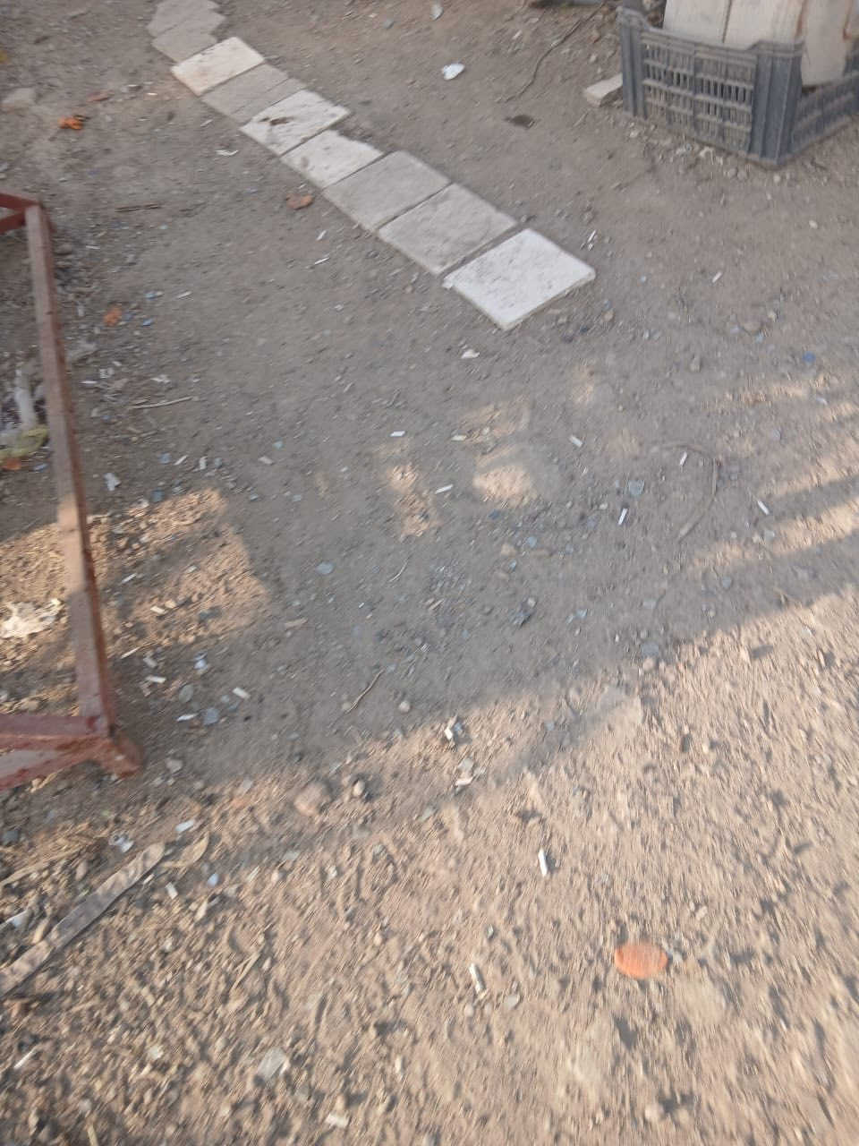 ساقولات  البيع عداد 2

نضيفات كلش 
وحده جهاز الشغل 
والثاني عوزه بس قايش 

مكان بغداد التاجي قرب سيلو  حبوب التاجي مزاد ابو علاء 

***********
