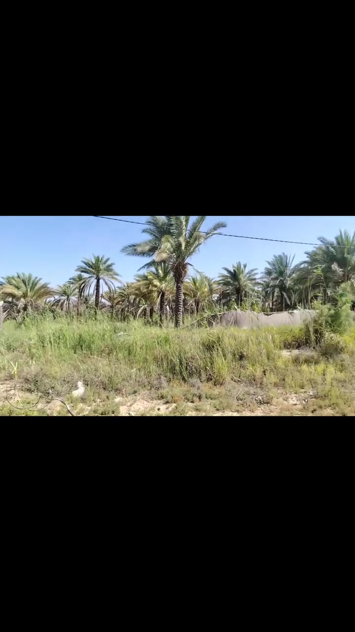 ارض للبيع مساحه 3دونم و300 متر سند 25 تحويل مباشر بأسم المشتري موقعها وسعرها وضعها ممتاز جدا  وأرض فقط نقصها يد عامله مثل ما موضح في الفديو
الاستفسار اتصال ***********
عقاري افضل
