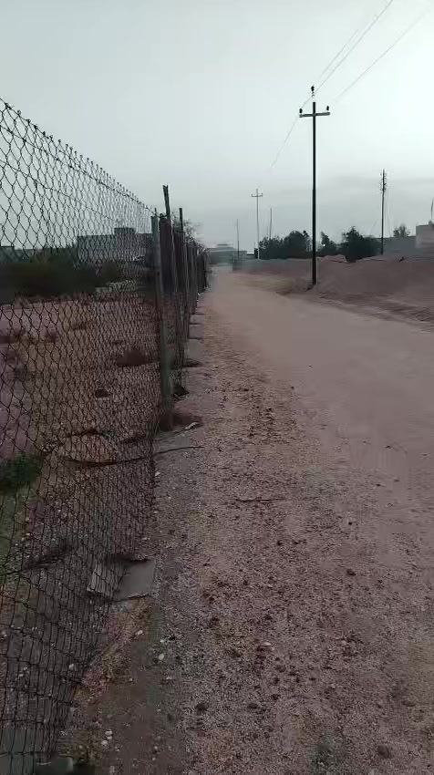 مزرعه للبيع في الشعيبه خلف حي المرتضى مرتسم زراعي بسمي المساحه 10 دونم تحتوي على بيتين سكن مع ديوان خارجي حوالي ٣٥٠ نخله متنوعه وتحتوي على ثلاث جاخور لتربيه العجول وثنين ارتوازيات ماء حلو للتواصل ***********
