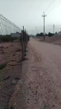 الشعيبه خلف حي المرتضى • ١٠ دونم • ٣٥٠ نخلة