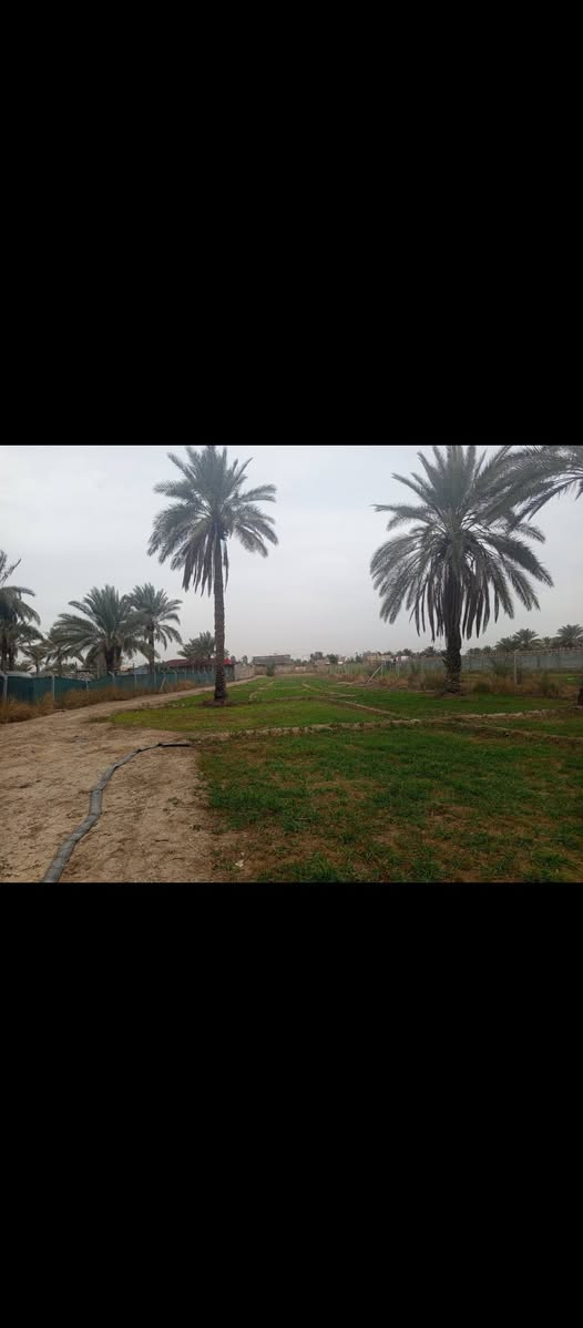 يا الله سلام عليكم 
#ارض زراعيه للبيع ترهم مزرعه ترهم سكن كلشي ترهم 
المساحه دونم ونص كما موضح ب الصور  او تريد اكثر موجود 
#سند ٢٥ طابو تحويل مباشر ب اسمك
الارض دولار يعني تبقيه يوم تصعد فوك سعره ضعف
#متوفر جميع الخدمات ماء  كهرباء مولدة شارع 
الموقع/شارع ١٠٠الرابط بزل حجي علي تبعد عن شارع ١٠٠ 
العام ١٠٠ متر 
للاستفسار اكثر اتصل على الرقم وبخدمتك 
‏‪ 0787 689 2247‬‏
