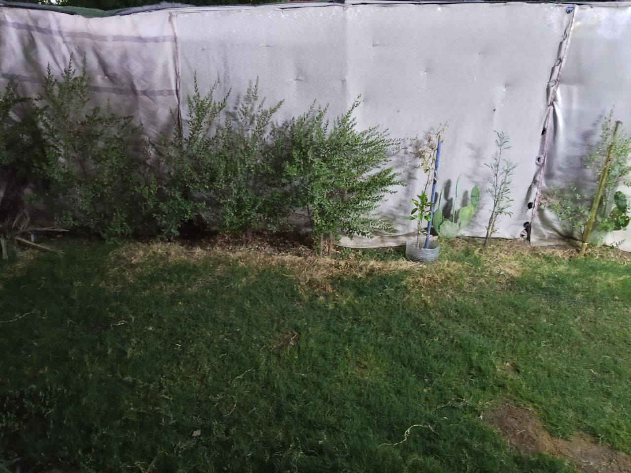 بيت تجاوز للبيع مساحته 100 من غير الحديقه عنوانه بغداد تقاطع درويش ب كفائات السيديه بشارع جنانه بين بنائه جديد السعر 16
***********
