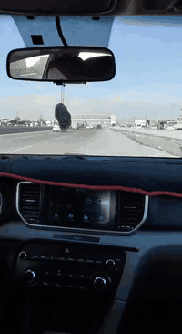 مكتب نيڤين لتعليم فن قيادة المركبات🚘 سيارات حديثه ومكيفه  🚖  نصل الى منازلكم 🏠 جميع مناطق بغداد 🇮🇶  دورات على تعليم قيادة المركبات بكل امان وثقه واحترافيه سياراتنا مخصصه للتدريب 🚗 ويتحمل المكتب كافة المسؤليات 👌التدريب يتم على ايدي امهر المدربين والمدربات خبرة سنين عديده 🗓 كادر نسائي 👮متخصص وكادر رجالي 👮🏻‍♂️متخصص  يتعهد المكتب بتدريب وتوصيل 🚗المتدربين من والى مكان سكنهم او مكان عملهم بدقه والتزام 👌 
يشمل التدريب : 
١- شوارع فرعيه وساحات 🚦
٢-شوارع عامه 🚧
٣- خط سريع 🚊
٤-انفاق  🚇
٥-جسور ⛩
٦- استدارات 🔄
٧-التعليم على ال R ®️البگ ⛽️
٨- الركن العامودي 🅿️ والركن الموازي 🅿️ 
بعد انتهاء الدوره يمنح المتدرب ملزمة 📒✏️نظري مجانيه +شهادة تخرج 🎓 
للحجز والاستفسارالاتصال على الارقام :
☎️***********
☎️***********
#ويا_نيڤين_السياقه_صارت_سهله
#نصل_الى _منازلكم_جميع_مناطق_بغداد
#مدائن 
-#الزعفرانيه 
#سلمان _باك_سلمان المحمدي
#بسمايه 
#بسمايه_مول❤️🗼 

#كرخ_رصافة   #كرخ_رصافة_اكسبلور_ريلز
#كرخ_رصافة # #كرخ_رصافة🌎  #مجمع
#مجمع_الايادي_السكني  #مجمع_الايادي_بسكولاتة #مجمع_الايادي_بغداد #مجمع_الأيادي #مجمع_الايادي_السكني_العامريه_العمل_الشعبي
#منصور #اعظميه_نييوز😄 #اعظميه  #اعظميه__شارع_الضباط__مول_هابي_هاوس_الطابق_الارضي #اعظميه__شارع_الضباط__مول_وايت_ستار #اعظميه_ #بسمايه_مول #بسمايه_ذكريات👌😩 #بسمايه_بيج_بسمايه_مول_بسمايه_اكسبلور 
#بسمايه_بغداد
