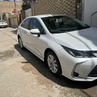 كورلا • ٢٠٢٣ • رقم اربيل