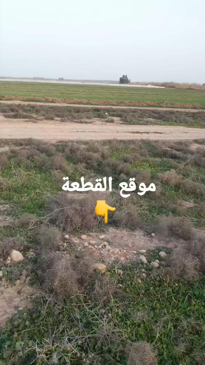 #بيع مستعجل بسعر مناسب جدا #قطعة ارض طابو زراعي سند ٢٥ بمساحة ١٠٠م٢ خدمات كاملة ماء وكهرباء #قريب عليها  مدرسة ومركز صحي وجامع #الموقع: ع طريق بغداد - بعقوبة القديم بأتجاه خان بني سعد #قرية ابن خلدون خلف جامع المصطفى وكما موضح بالخارطة ادناه عبر الGPS..
https://maps.app.goo.gl
/SQbAAS3kKtWdbBvo8?g_st=aw
-------------------------
#للإستفسار اكثر تواصل معي عبر الرقم       
 الآتي:-📲***********📲 
#متوفر واتس اب بالرقم اعلاه ☝☝☝
