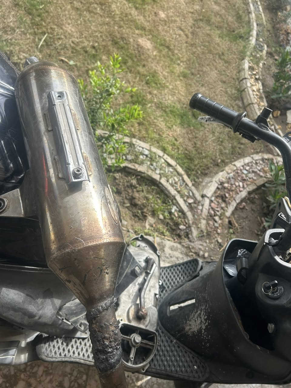 تزويد للبيع قبق فلاوين اصلي مال سكنس كرزي صلنصه نحله تك بوشه صوته هجم مال سكنس واقيته
موجوده وصلنصه اصليه مال ثعلب مال رمبه قطره لحيم مابيه للبيع مكاني بغداد حي الجامعه


**إذا كنت صاحب هذا الإعلان وتريد حذفه لأي سبب، رجاءا أرسل رسالة إلى الدعم الفني**