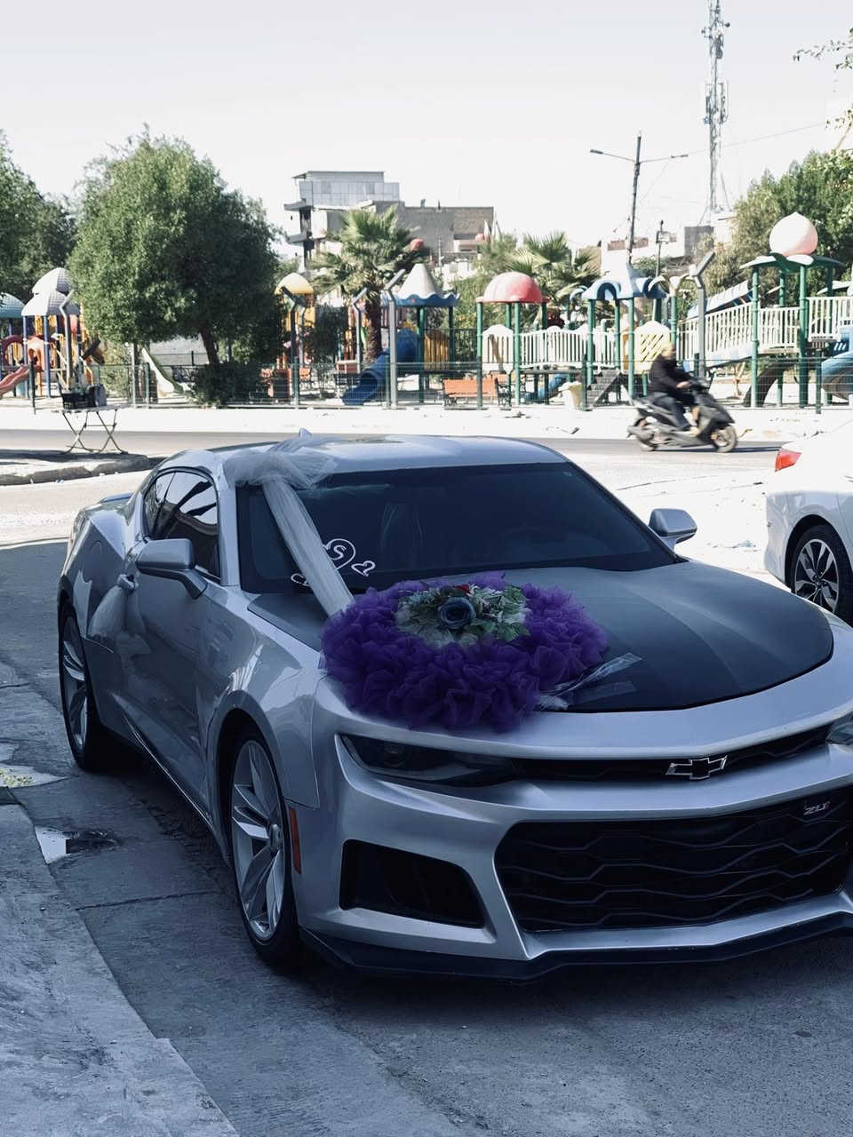 سلام عليكم 🫡 بيع او مراوس اقره للاخير
شوفرليت كمارو 2017 وارد امريكي السياره سبعينيه مختمه كلها بيها 3 قطع صبغ علشرط ( شواصي + لغود + تكم + قماره + حوض ) اكفلهن من الشخط وين ميعجبك افحص مكينه وكير بلاديات  مكينه 3600 شرط شلعه تشك الكاع ودبات  المواصفات 
1.تشغيل عن بعد + بصمه + هندبريك دكمه
2.كشنات جلد + كشنات كهرباء ثنينهن 
3.كشنات تدفئه وتبريد وستيرن تدفئه
4.شاشه اكبر حجم + كار بلاي 
5.سستم سماعات بوس + شفتات ستيرن
6.تحكم ستيرن اربع جهات + شفتات
7.انضمه قياده 3 + مانع انزلاق 
8.تحديد مسار + شاشه اعطال السياره فول الفول عده الفتحه اخوان كلشي موضح بلمنشور السياره بشرط صدرها امامي خلفي جديد اذا بيها طكه بصدر ترجع السياره تبريد ثلج جاهزه عل اخر حبايه تحويل ثاني يوم سنويه مساقطه السعر 118   وبيها مجال بسيط الميعجبه ختولي يلكه الاحسن منها كلشي اكو بلسوك 🖤 السياره بدون ايرباك 
*********** اتصال فقط 
*********** واتساب فقط 
اسف عل اطاله 🖤
