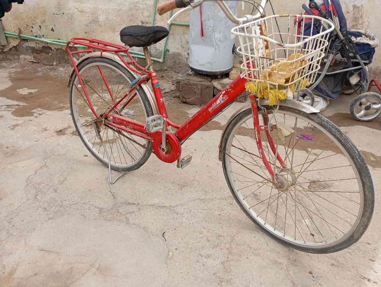 باسكل نضيف لبيع حجم 27 كلشي مابي سعر 65 بي مجال ***********
