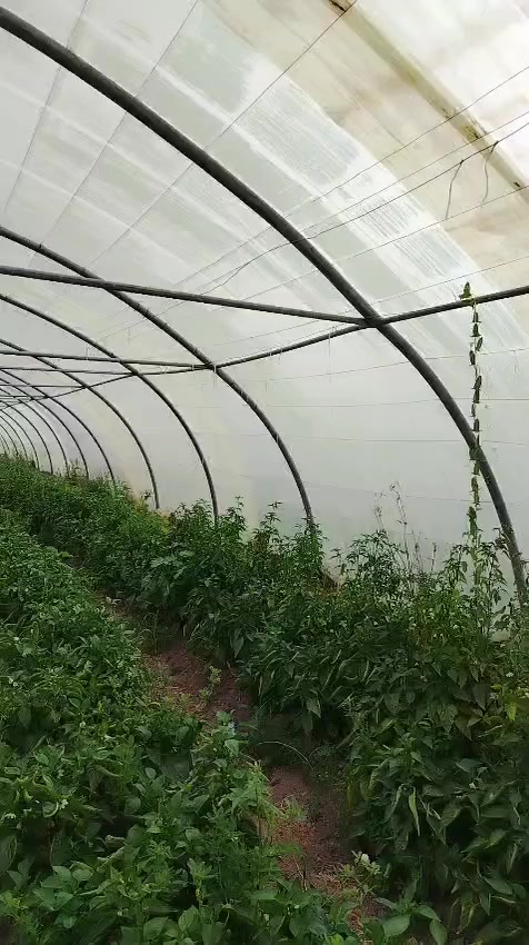 السلام عليكم عندي ثلاث بيوت
النوع لبناني 22 قوس الطول 52 متر العنوان ديالى ***********
