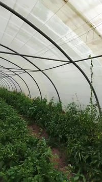 ثلاث بيوت • لبناني • ٥٢م