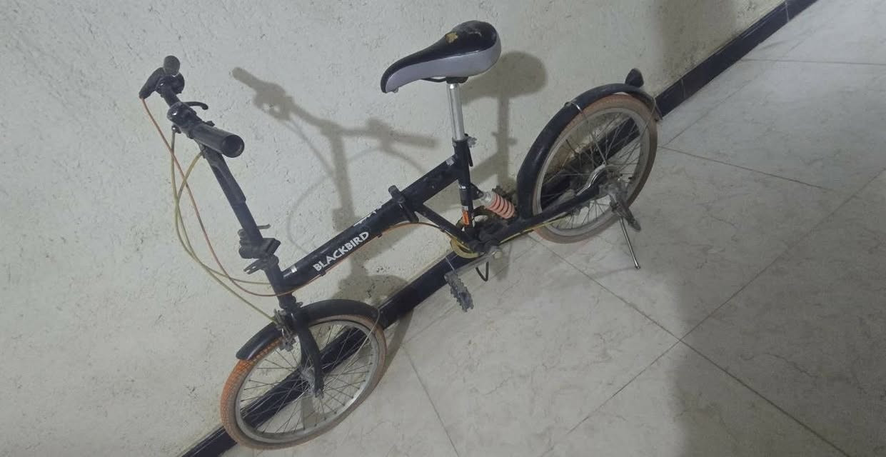 باسكل للبيع حجم 20 سبع مكاين جديد للاستفسار خاص


**إذا كنت صاحب هذا الإعلان وتريد حذفه لأي سبب، رجاءا أرسل رسالة إلى الدعم الفني**