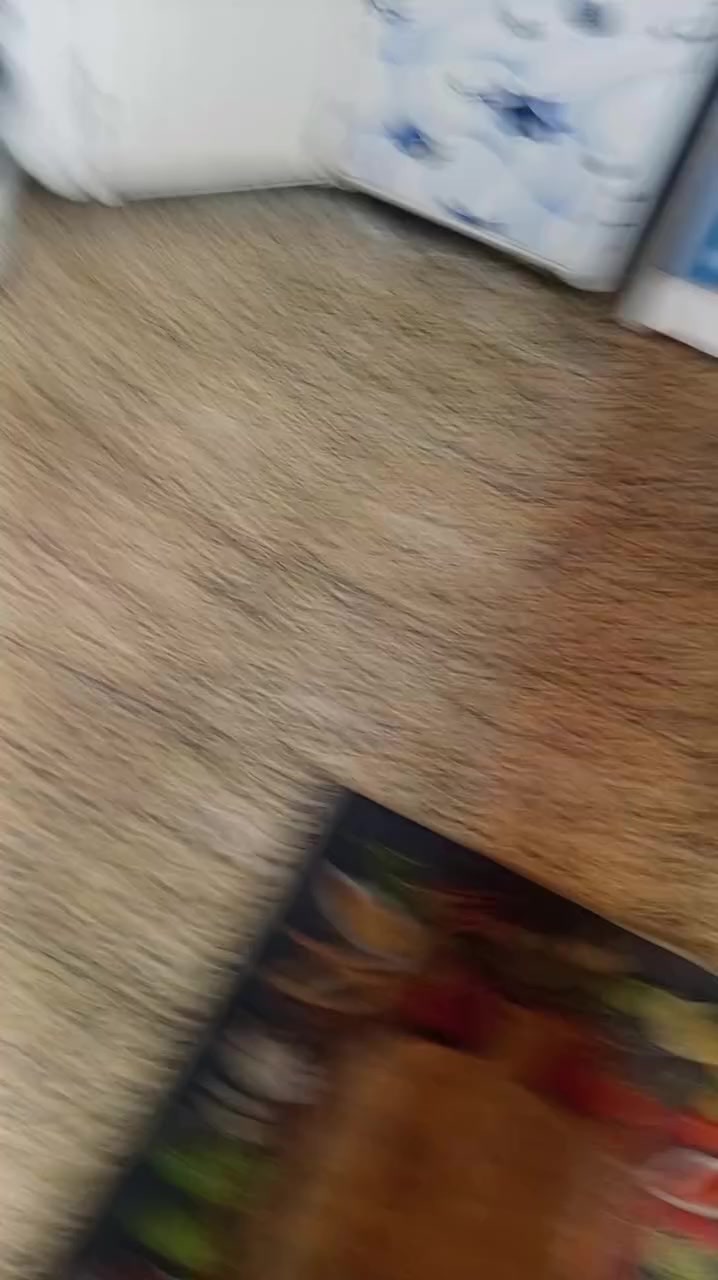 سلام عليكم عندي كاونتر  للبيع او مرواس أريد  لون اسود


**إذا كنت صاحب هذا الإعلان وتريد حذفه لأي سبب، رجاءا أرسل رسالة إلى الدعم الفني**