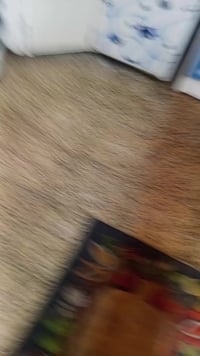 كاونتر • للبيع • اسود