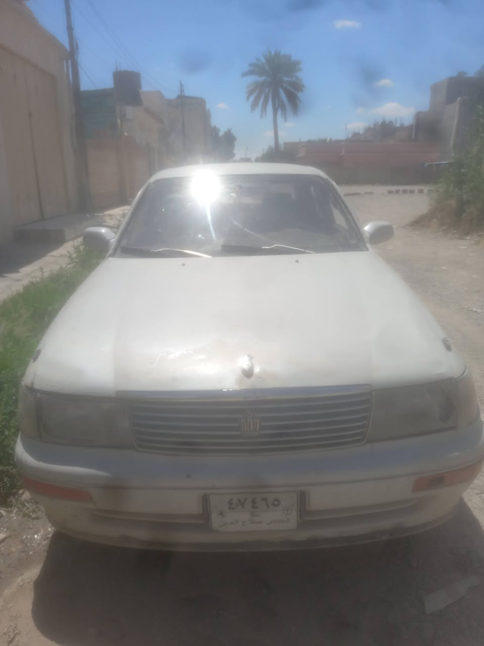 مكلف بنشر بطه مسجلة صلاح الدين السعر ٢٥ ورقة وبيها مجال ومراوس هم يرهم ***********م
