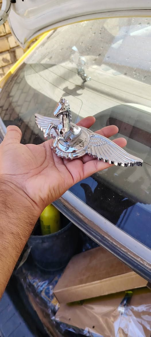 للبيع شعب ***********
