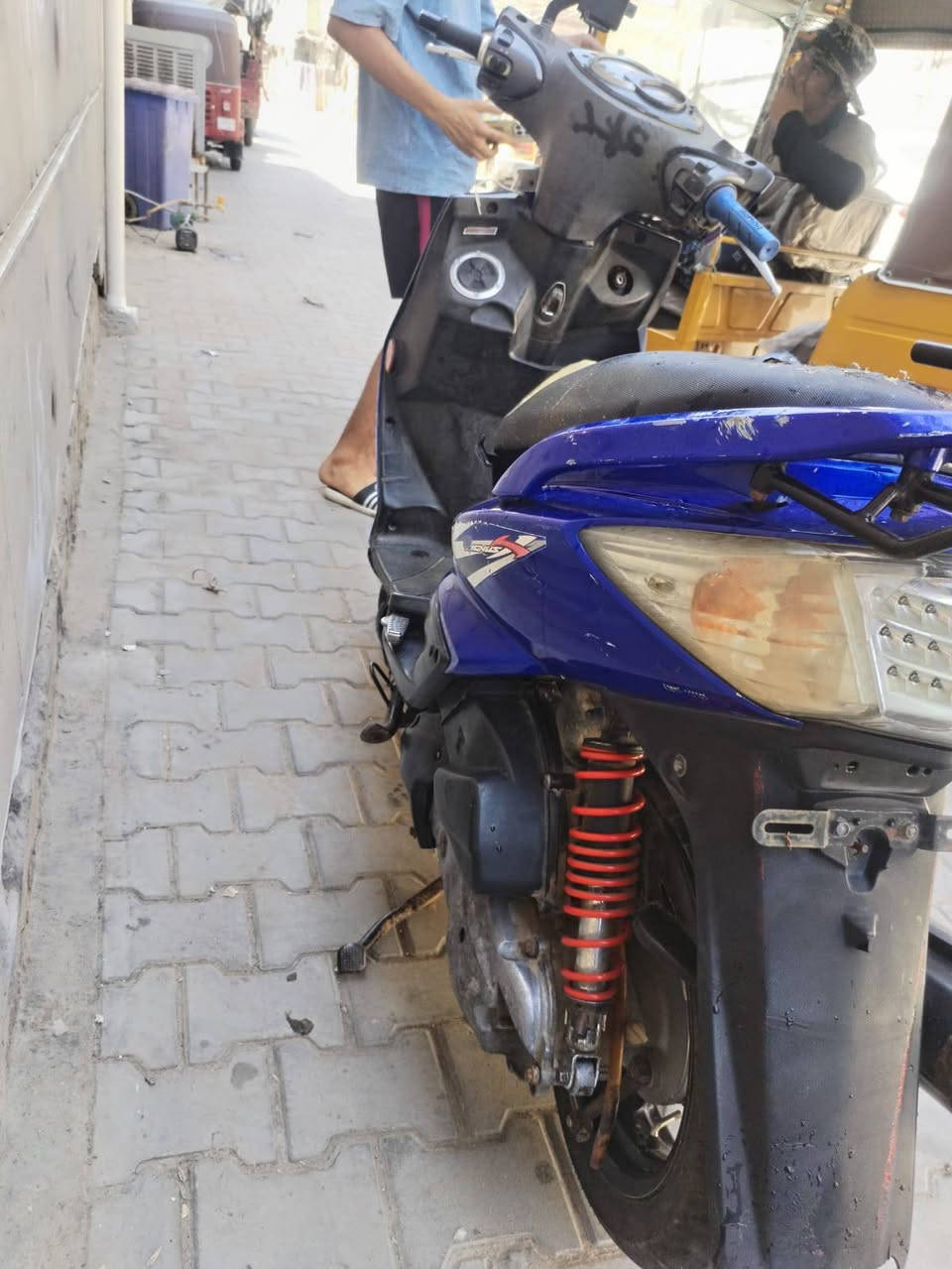 سلام عليكم سكنس فحل خطين ام طلاعات ابيع لو امراوس حسب القناعه  رقم ‏‪***********‬‏
