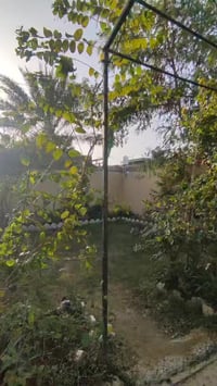 حي القريشات الاولى • ٣٤٥م • طابو زراعي