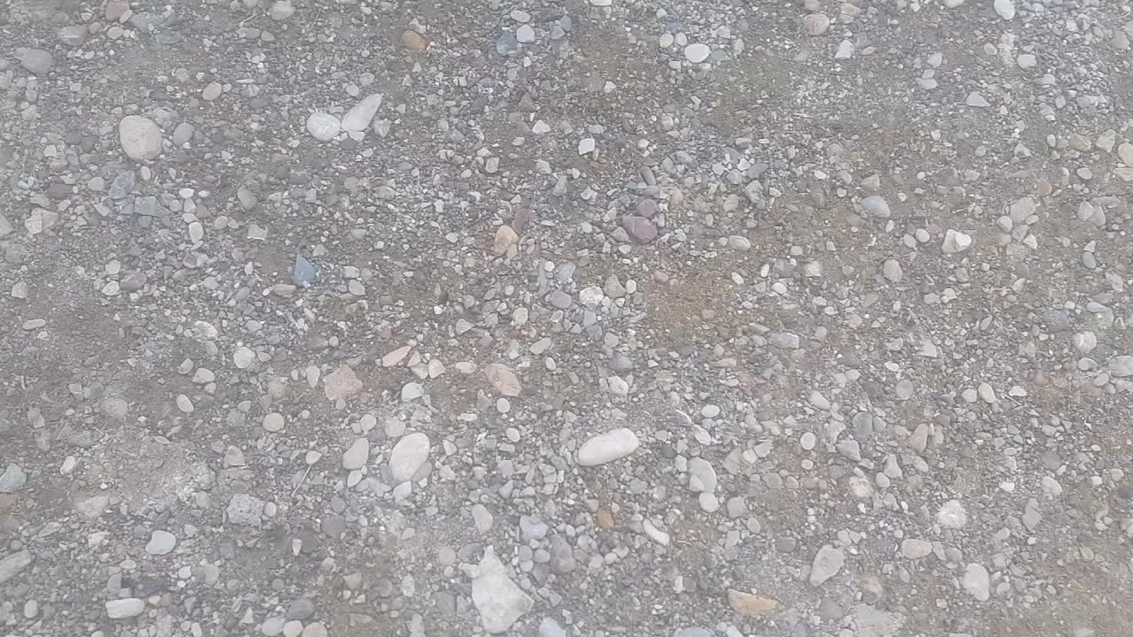 دار هيكل 309م في حي العباس للبيع بناء جيد جدا الاتصال على الرقم *********** او الخاص او مراجعة مكتب الجوادين للعقار الحي العسكري مجاور فرن صمون اشور موجود وات ساب
