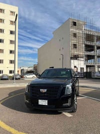 اسكاليد بلاتينوم • ٢٠٢٠ • ٩٨ الف