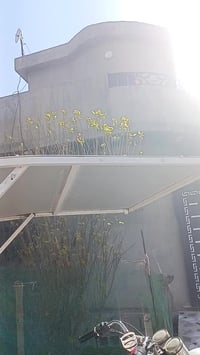 كنج • مخضر • كركوك