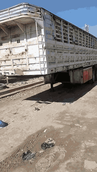 عربانه للبيع الشاصي ١٦ دناكير ١٤
***********
