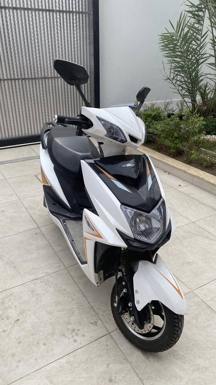 للبيع

دراجه سكنس ٢٠٢٥

٦ بطاريات

سستم موسيقى بلوتوث

لايت زينون عالي ناصي

فجوج شركهMTR

الدراجه كلها مختمه MTR

مطلعها من معرض مؤيد طياره في بغداد

ماشيه٣٠٠٠فقط

السعر٩٠٠ الف قفل 

مكاني كربلاء حي الاسره 

للاستفسار ***********
