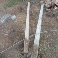 يوجد دنگ مالقمريه عنب العدد 100السعر الوحده7وبيها مجال مع سيم رباط400م...