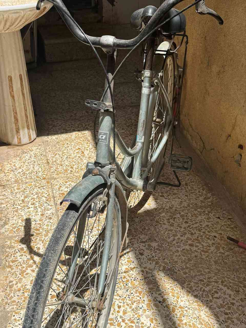 الباسكل_البيع
السعر /60
العنوان/القاسم 
الاتصال 
***********
