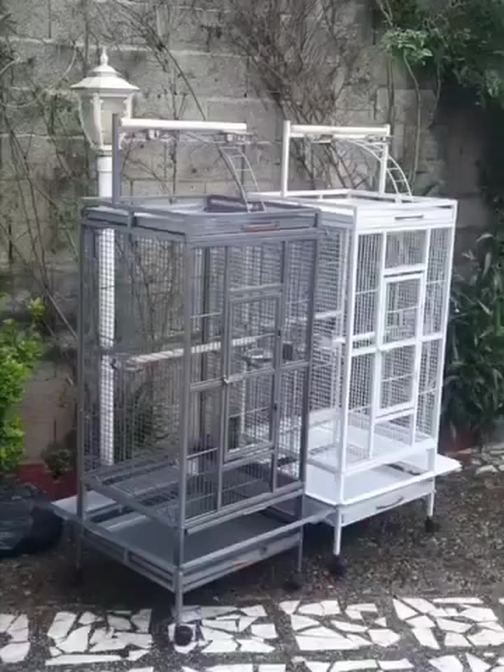 للطلب راسل الصفحة أو تواصل معنا عن طريق الهاتف او الواتساب على الرقم ***********
