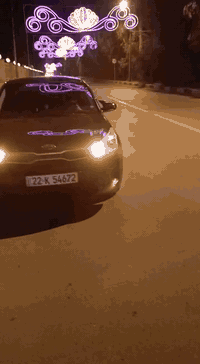 كيا ريو • ٢٠١٩ • بدون ضرر