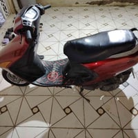 فراشه نثيه • ستوته • مكفوله