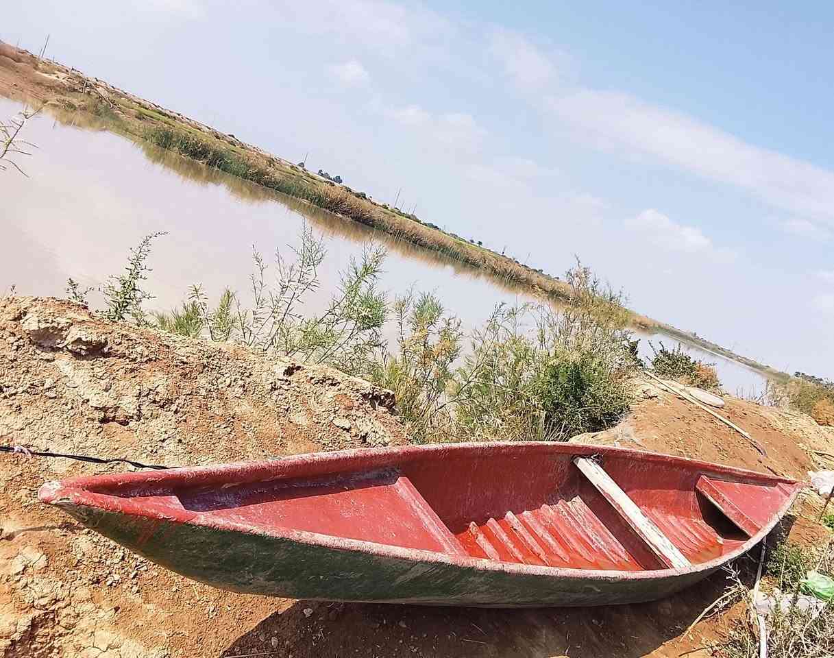 بليته للبيع ميسان كميت سعر 250
رقم الموبايل *********** وبي واتساب
