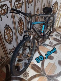 باسكلات سياحي • عدد ٢ • ما بيهن عطل