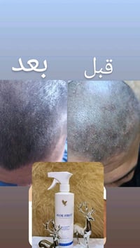 بغداد توصيل مجانا الجميع المحافظات العراق