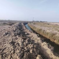 ناصرية الرفاعي • ٣٥دونم • ماء كهرباء