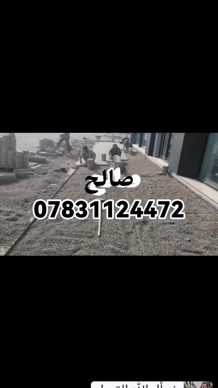 صالح ***********
