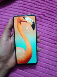 تكنو كامون ١٧ برو • ٢٥٦ • بطاريه ٥٠٠٠