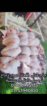 دجاج عدل ذبح افخاذ دجاج صدر دجاج توصيل داخل الحسينيه  07800995135 0775...