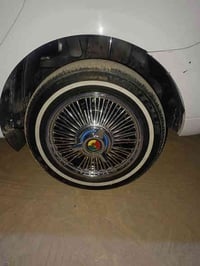 كبات ١٥ • شاخات اصليه • كب مصور تعبان