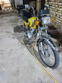 نامي • معمرة ٦ أشهر • بدون اوراق