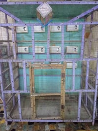 قفص للبيع كبير 70وبي مجال 07783538863