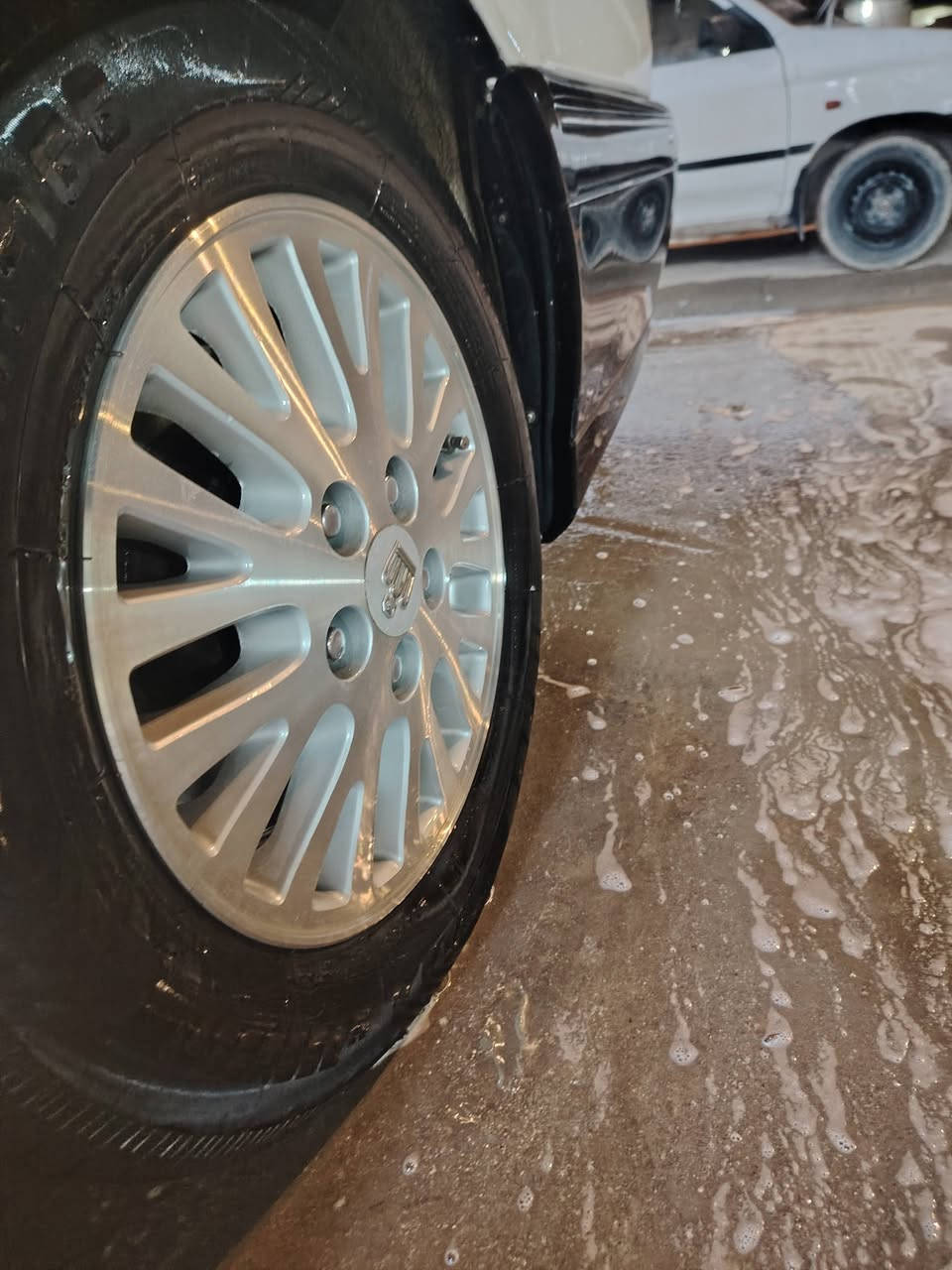 تخم ويل حصيره للبيع السعر ١٧٥
***********
