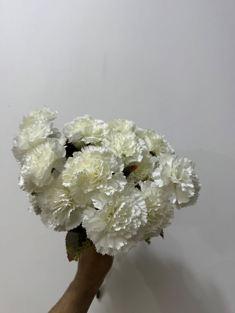 السلام عليكم
متوفر ورد (جديد)
 للاستفسار خاص او:***********
