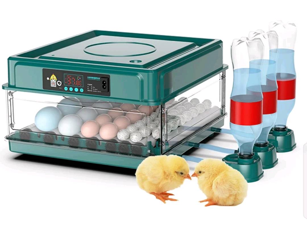 متوفر فقاسات فول اوتماتيك تشتغل نظام كهرباء باتري سعة 48 بيضه منشأ صيني درجه اولى سعرها 80 الف توصيل مجاني لجميع المحافظات 
 
