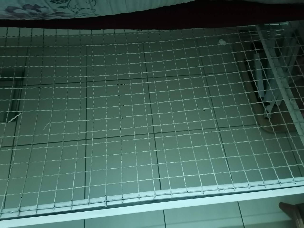 جرابي 2 وياهم الدوشك  وحدة بيهم طاك الحديدة يرادلها لحيم بس الشبكة مابيهاشي سعرهم ويا الدوشك 60


**إذا كنت صاحب هذا الإعلان وتريد حذفه لأي سبب، رجاءا أرسل رسالة إلى الدعم الفني**