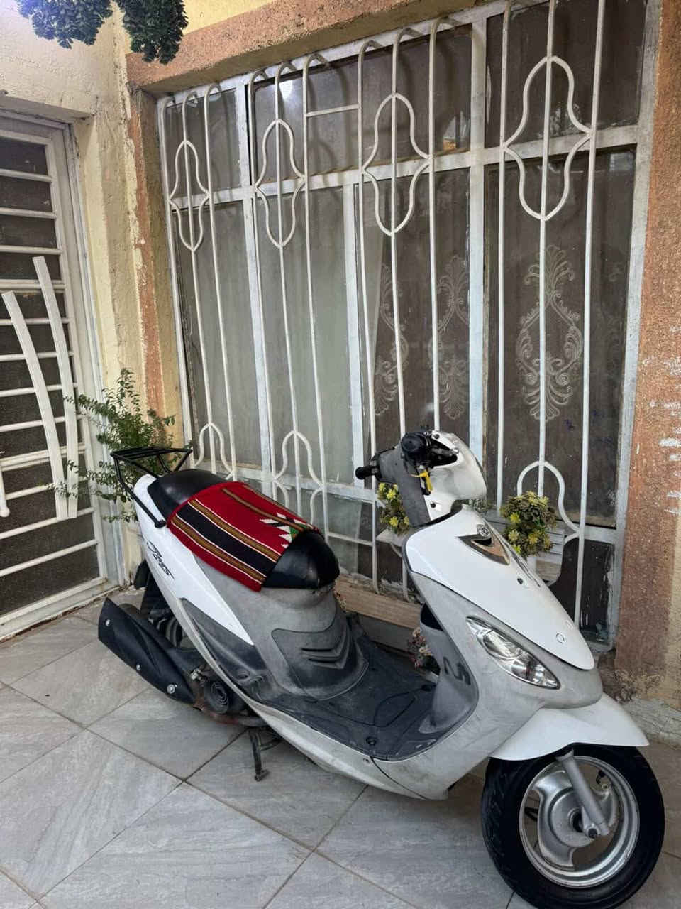 ماكس منغولي بلاد بوشه49 دراجة خير من الله معدل وشلعه مكفولة من النقص فقط السلف مبدل ما مفتوحة دراجه تجي وتشوف السعرر 650 وبيها مجال مكاني كربلاء وبيها وصل معرض رقم ***********
